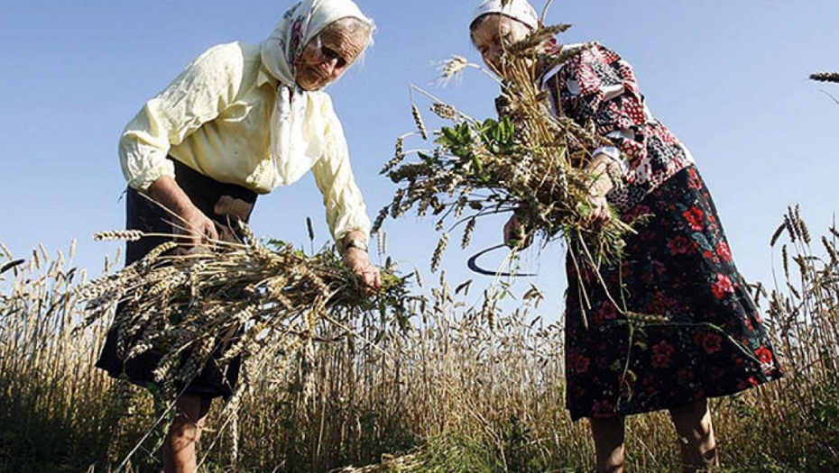 DA LI JE DAN ŽENA PROSLAVA ILI PROTEST Značaj 8. marta još uvek pokreće polemike - ravnopravnost ili privid prava