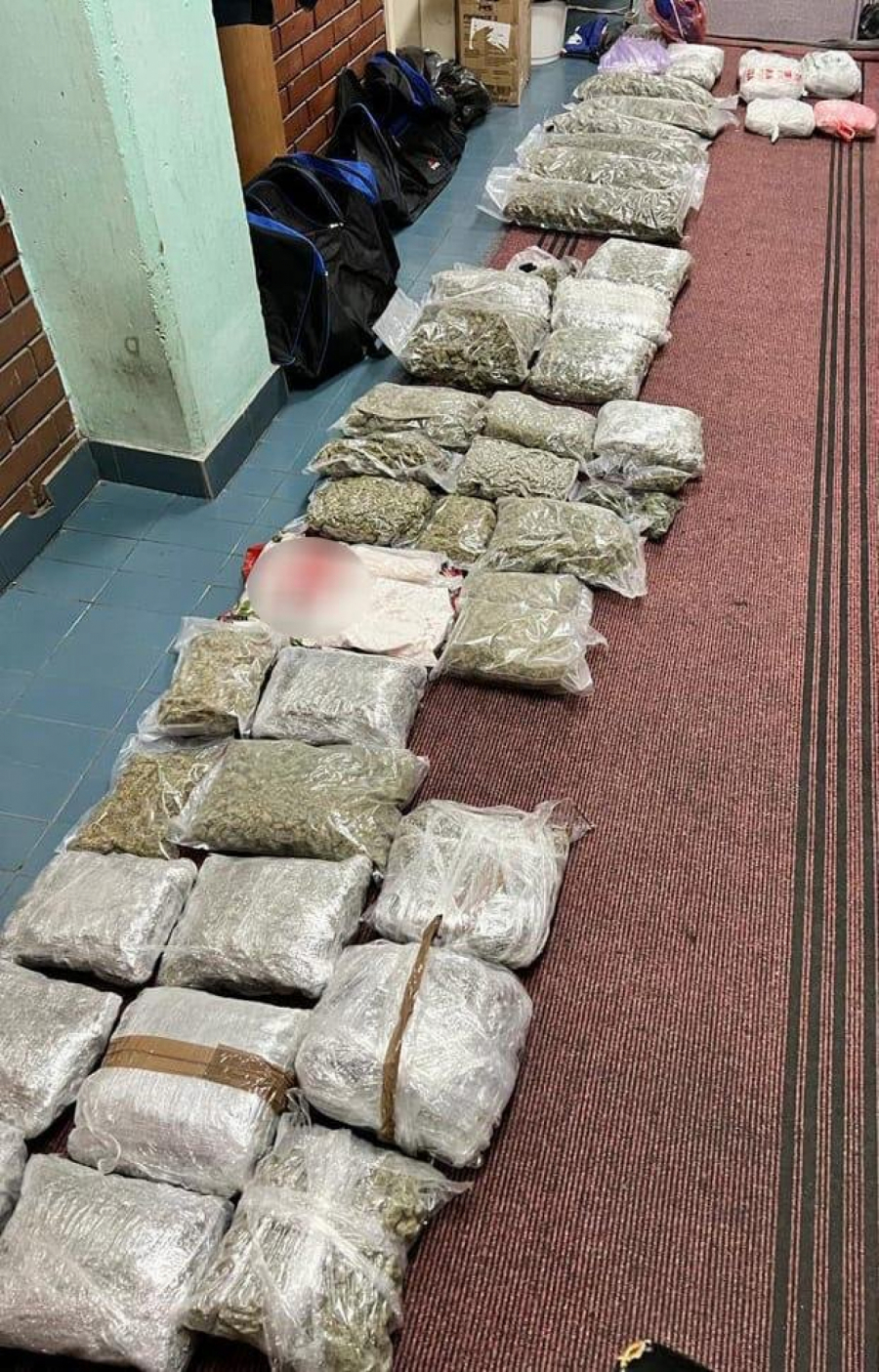 NARKO-BOS OSTAO BEZ MAGACIONERA Novosadska policija uhapsila Milana I. (38)