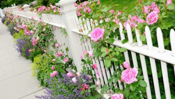 ŠTA SVAKO DVORIŠTE TREBA DA IMA Cveće koje čuva dom i ukućane, donosi boljitak, sreću i uspeh