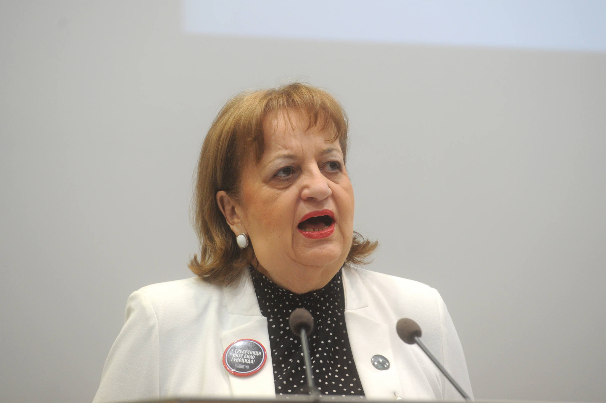 RADIKALSKA RENESANSA Šešelj najavio politički uragan