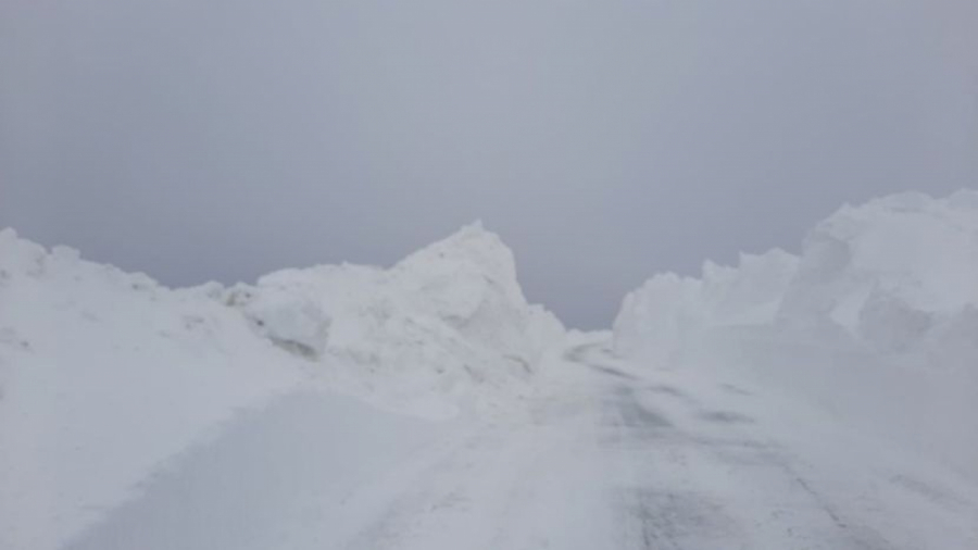 POTPUNO ZAVEJAN PUT PREKO GOLIJE Oštra zima još uvek pokazuje zube, sneg na planinama Zapadne Srbije pada satima (FOTO)