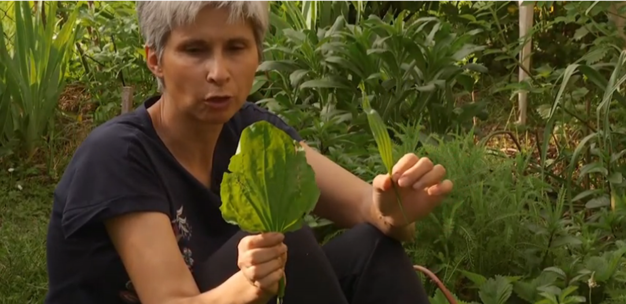 IZGUBIĆETE SVAKU ŽELJU ZA CIGARETAMA Odvikavanje od pušenja uz stari ruski lek