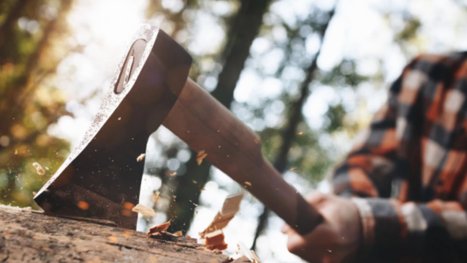 DANIMA MI NIJE DAVAO DA JEDEM, POPIO SAM LITAR VARIKINE Čovek iz Niša koji je iskasapio brata neće ići u zatvor!