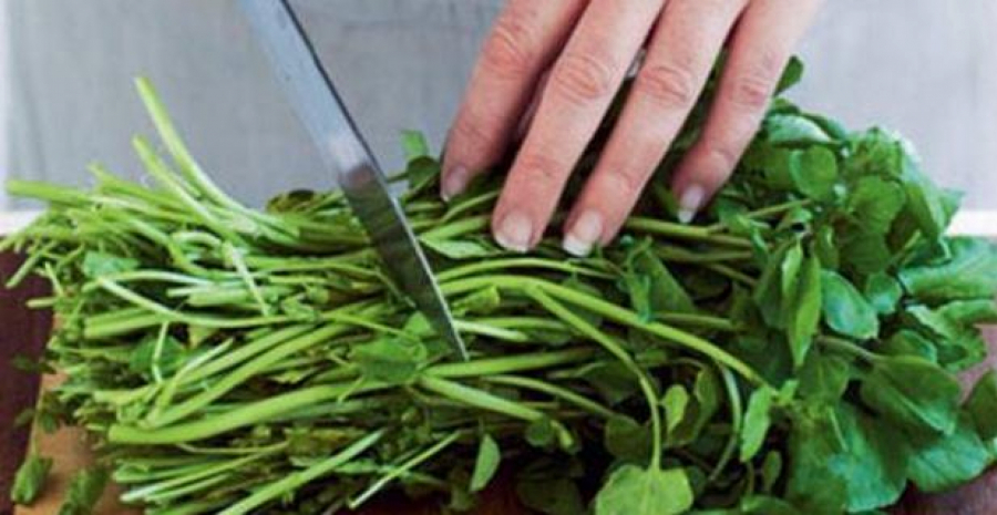 PROGLAŠENA NAJZDRAVIJA BILJKA NA SVETU Evo koje su njene prednosti