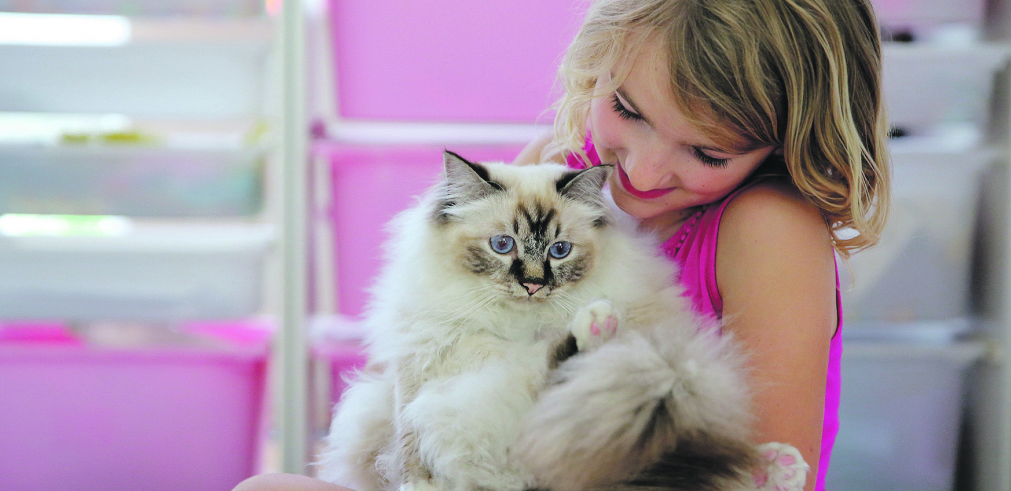 OTMENA GRACIOZA Neobična priča birmanske mačke, najljupkije rase na svetu