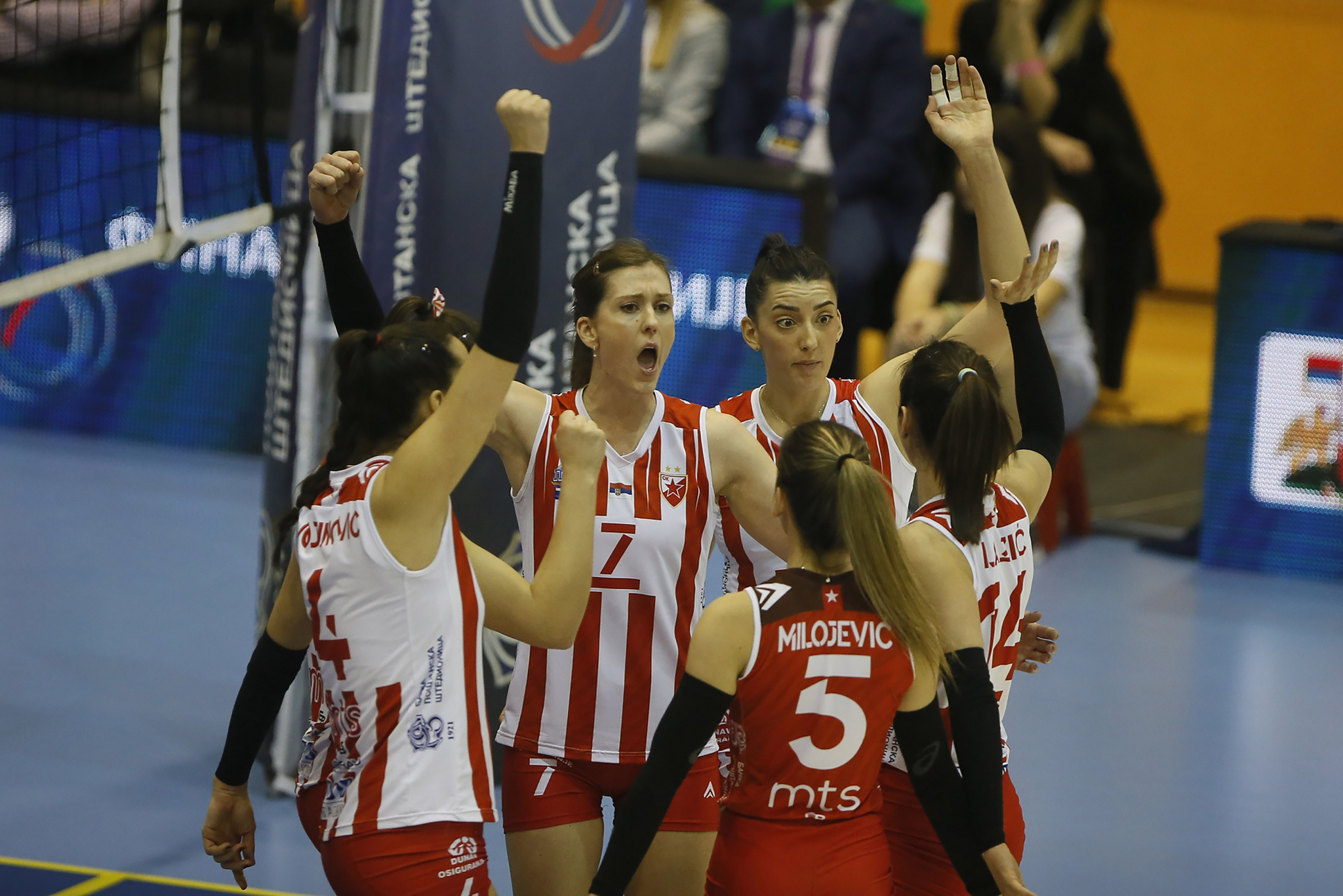 RADOST CRVENO-BELIH U LAJKOVCU! Odbojkašice Zvezde srušile Železničar i posle osam godina podigle trofej Kupa Srbije!