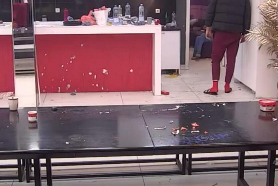 ZADRUGARI ŠOKIRALI ZBOG SVOJE ALJKAVOSTI! Miki poludeo i psovao po beloj kući, napravio haos a prizori će vas zgroziti!