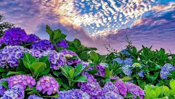 VELIKI NEDELJNI HOROSKOP Vodolija niže uspeh na svim poljima, Strelac će finansijski profitirati, dobar početak ljubavne veze za Device