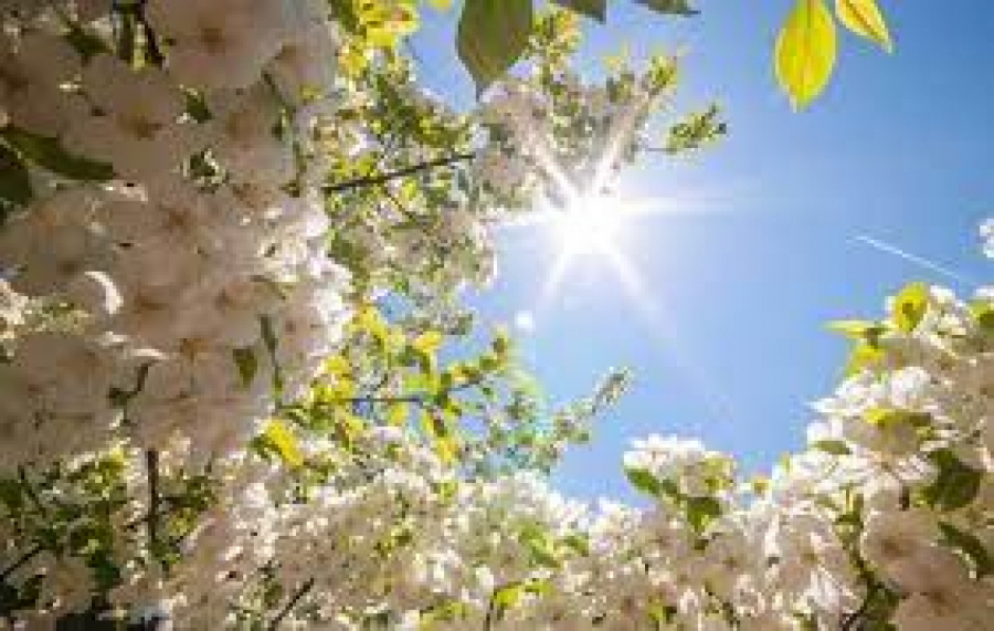 HOROSKOP ZA PETAK, 29. APRIL Strelac će se razočarati u kolege, Devicu čeka izvanredna poslovna ponuda, Blizanci su nezadovoljni ljubavnom vezom