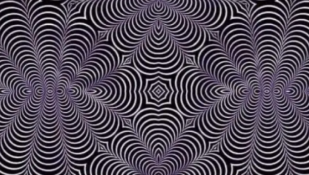 ONO ŠTA PRVO PRIMETITE NA SLICI OTKRIVA KAKO RADI VAŠ MOZAK: U pitanju su dve životinje, da li ih vidite?