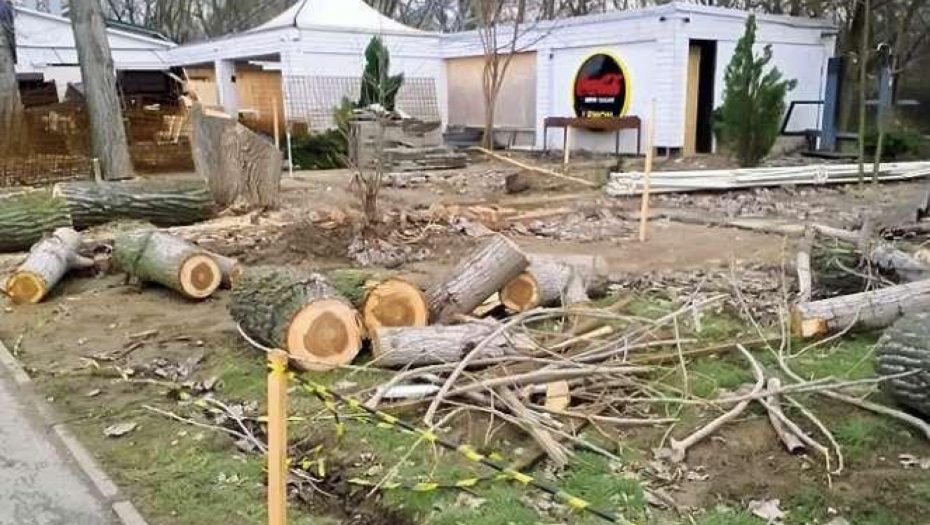 STOP KRIMINALU! Vesić najavio da će Grad odmah posaditi nova stabla: Seča drveća na Adi je KRIVIČNO DELO