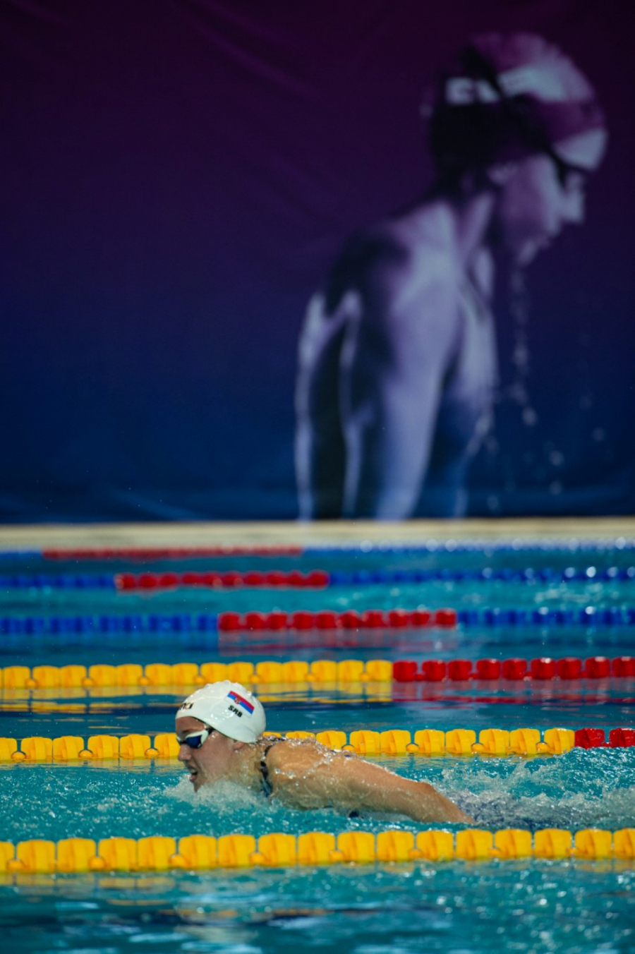 ZAVRŠENO MEĐUNARODNO TAKMIČENJE NA NOVOM BEOGRADU Velja i Nina najbolji na startu plivačke sezone!
