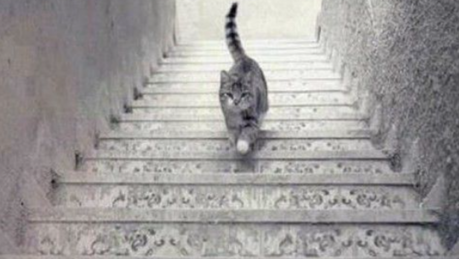 NAUČNO ISTRAŽIVANJE POTVRDILO Evo na kom spratu žive najdugovečniji ljudi