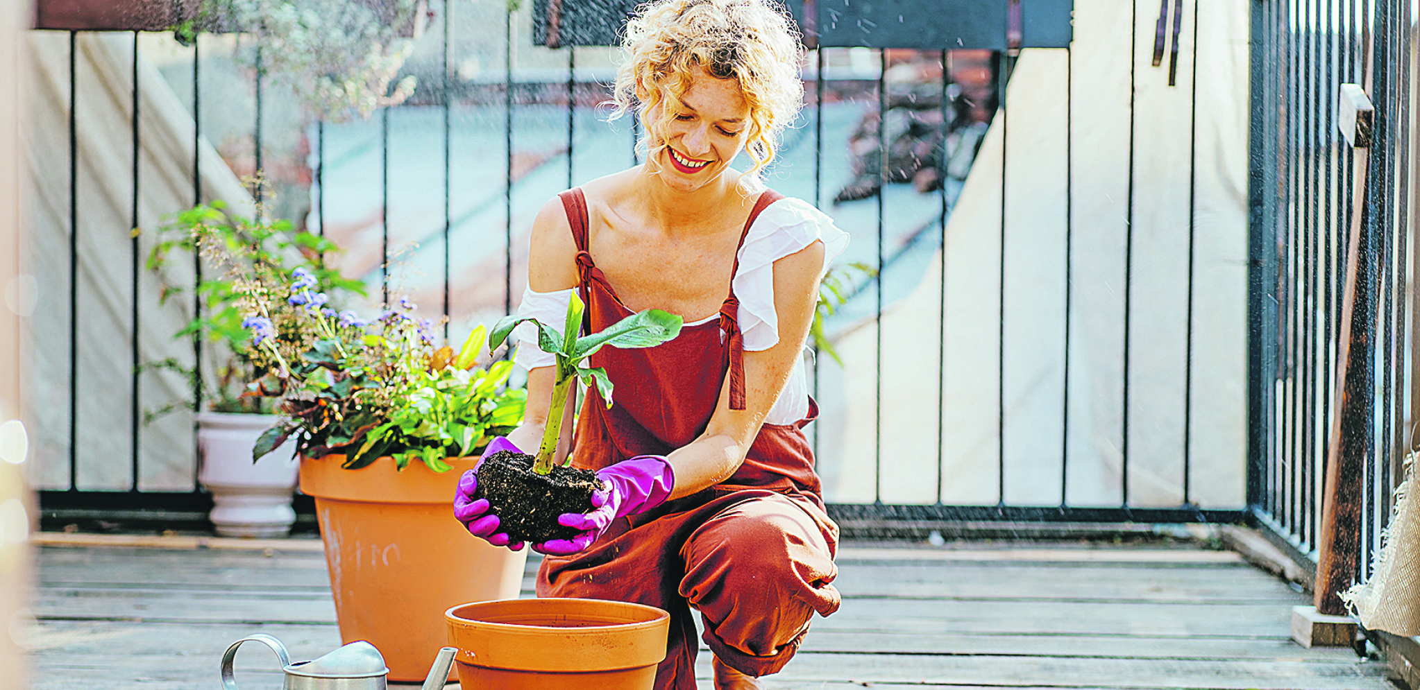 NE BACAJTE PARE NA NOVE Očistite saksije i opet ih koristite