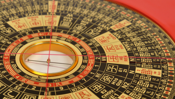 AKO IMATE OVE STVARI OBAVEZNO IZ SKONITE IZ KUĆE Privlače dugove i nesreću, a ova kućna biljka je prva na listi