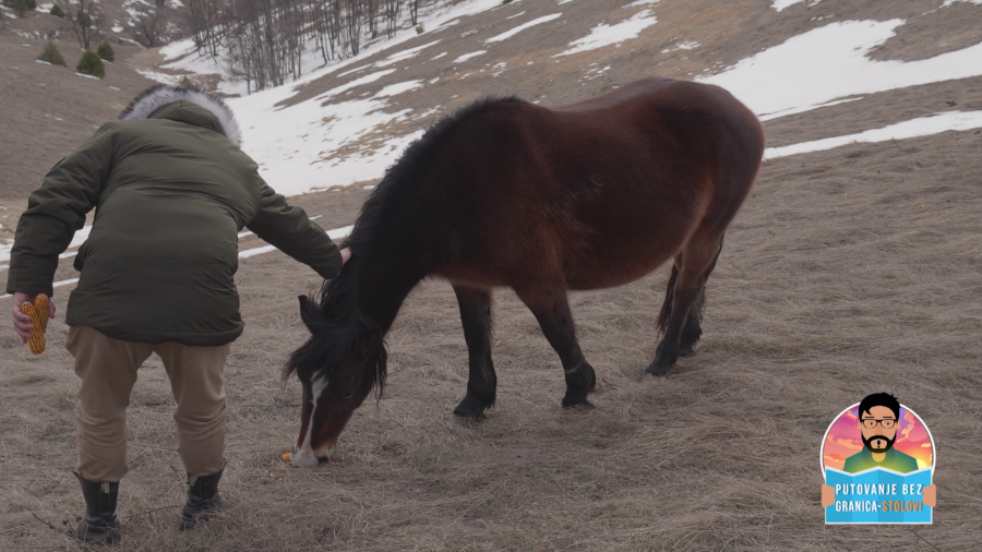MOMENAT ZA PAMĆENJE Dragiša se spremio za sve izazove na planini Stolovi, ali onda je usledilo nešto neverovatno