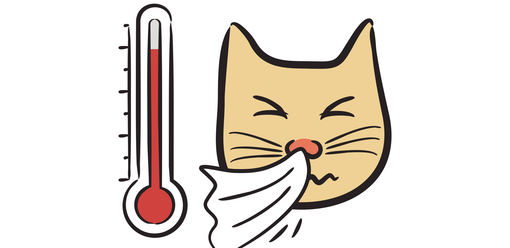 OVIM SE NAŠI LJUBIMCI NAJČEŠĆE INFICIRAJU Mačiji kašalj nije naivan