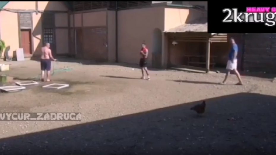 OVO JOŠ U ZADRUZI NIJE VIĐENO! Urnebesni snimak reakcije Mikija, Janjuša i Karića kada su ugledali ovo! (VIDEO)