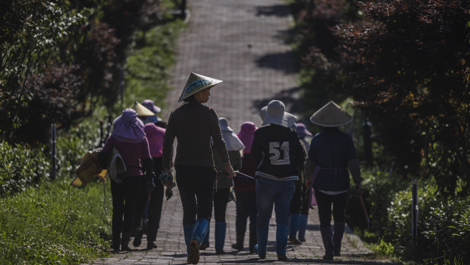 RUKOVODSTVO KINE UPOZORAVA! Rat u Ukrajini predstavlja rizik za svetsko snabdevanje hranom