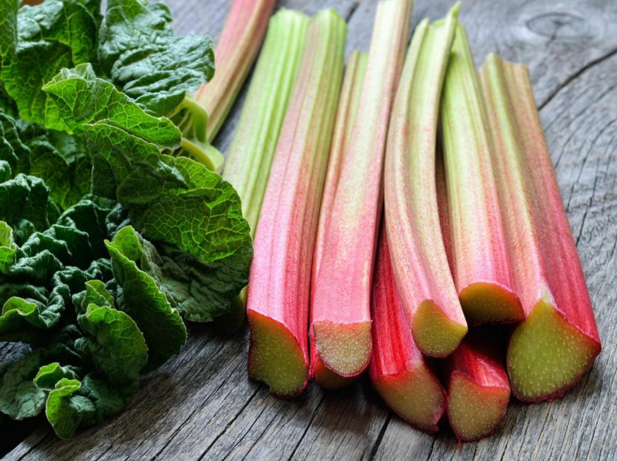 ČUDO IZ BOŽJE BAŠTE Ovako spremljena rabarbara idealna je za gubitak kilograma, poboljšanje probave, sprečavanje kancera