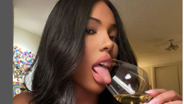 FATALNA ZEČICA ZAPOSLENA KAO DETEKTIV Za  jedan poslić zaradi preko 1500 evra, a sve je počelo kao šala!