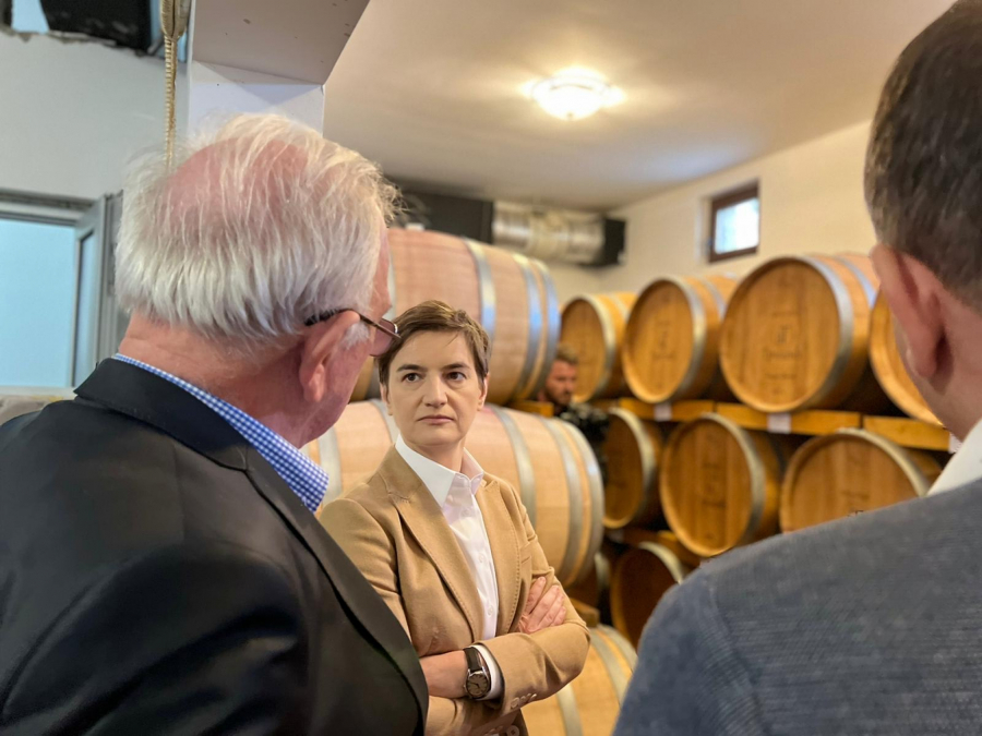 VAŽNO JE SAČUVATI MIR I STABILNOST Brnabić: Podržaćemo vinare, porodične kompanije, male firme (FOTO,VIDEO)