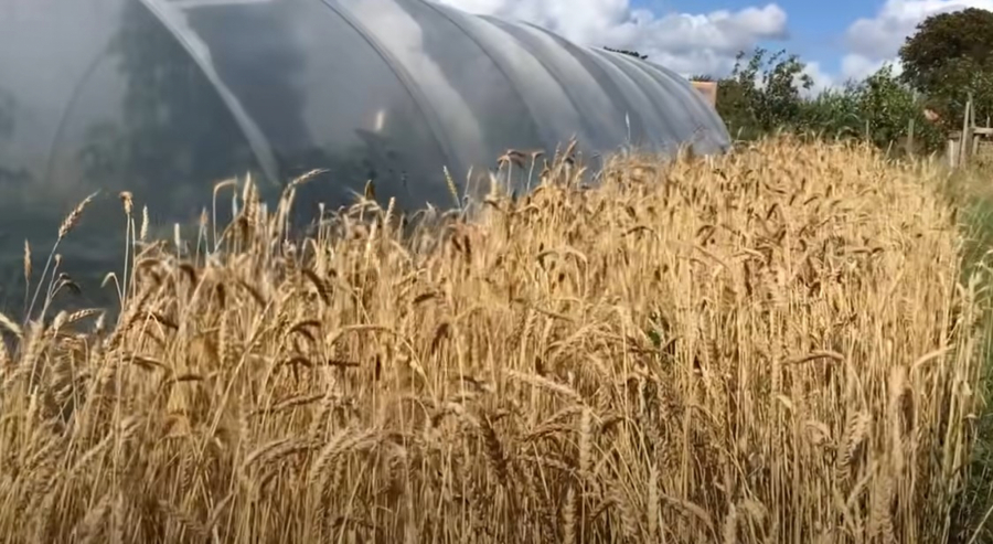 REZIME DANA Iz Irana stižu stravične vesti, nagrade od 100 dolara za 