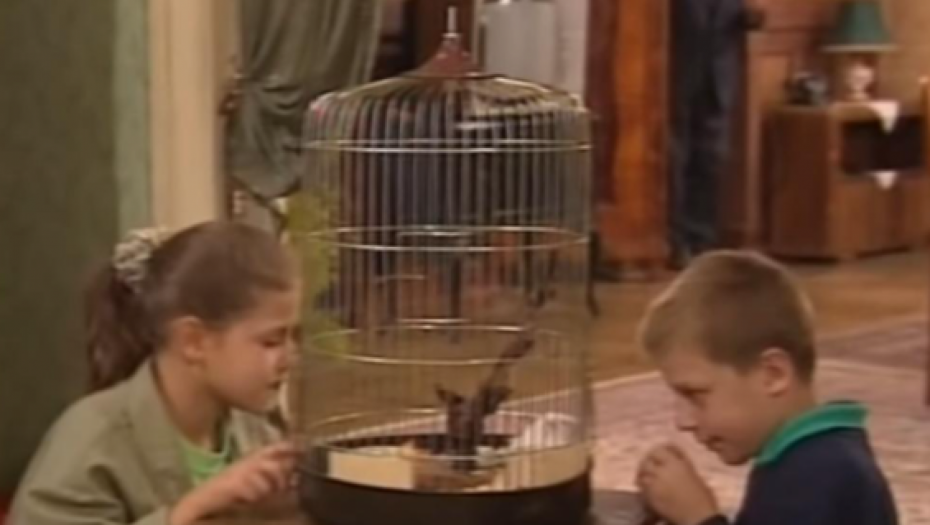 SVI JE ZNATE KAO NECINU DRUGARICU IZ KULTNE SERIJE! Srbija je obožavala glumicu, naprasno je promenila profesiju, a evo kako danas izgleda! (FOTO)