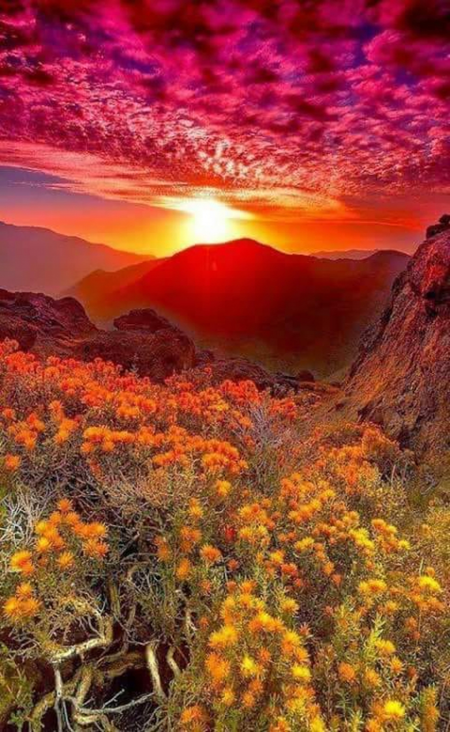 HOROSKOP ZA SREDU, 13. APRIL Blizanci iznenadni susret obećava, Lavovi sve je u vašim rukama, Ribe vas baš hoće sreća