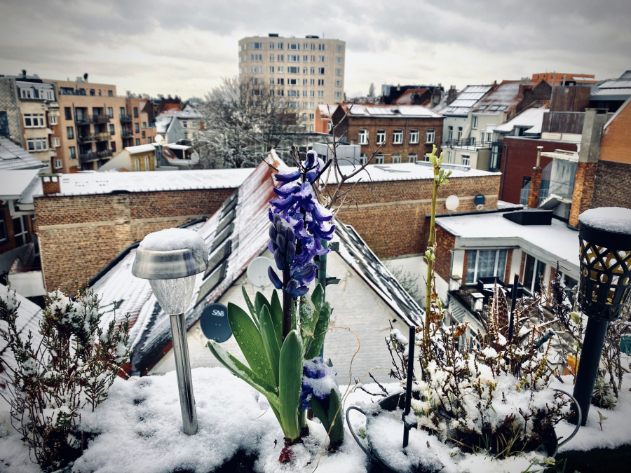 USKORO STIŽE PRVI SNEG! Metereolog otkrio kada će se Srbija zabeleti