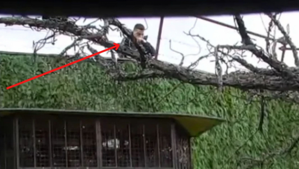 NENAD VISI NA OGRADI! Haos na imanju, Miljanin dečko beži iz rijalitija, rizikuje svoj život!