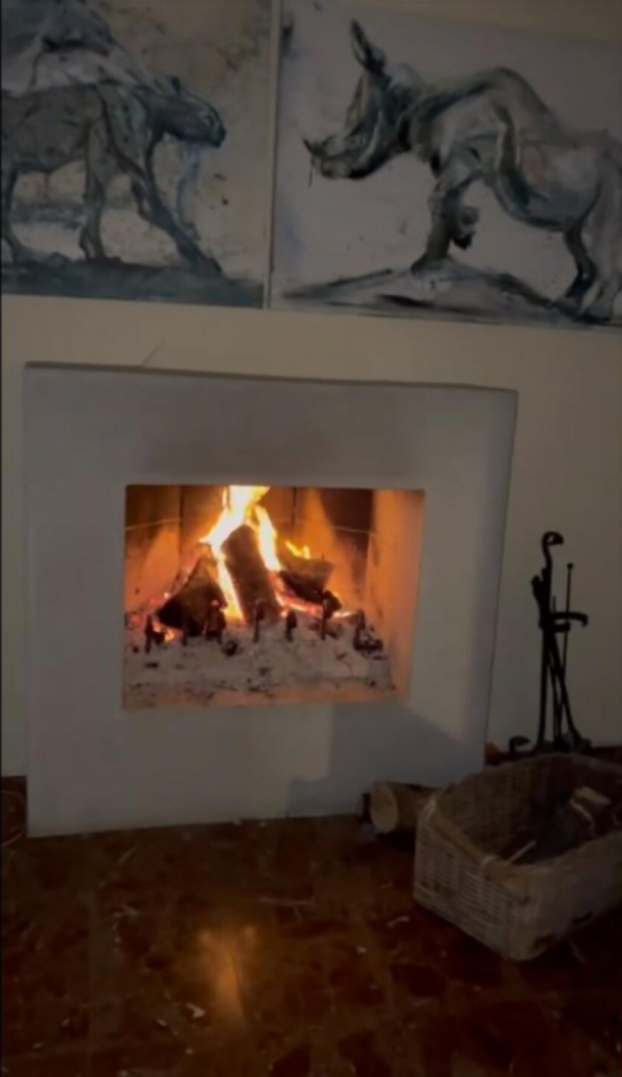 TIRKIZNA KUHINJA, KAMIN I POGLED OD MILION DOLARA Nina Badrić otkrila kako izgleda njena oaza na Hvaru! (FOTO)