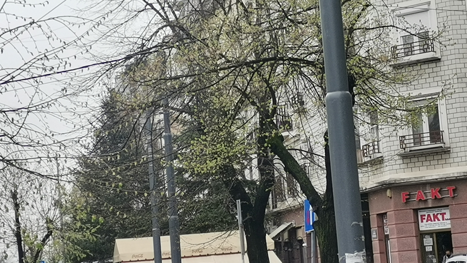 Rađen i Milica komšije