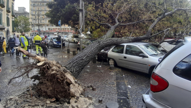 OBRENOVAC I OKOLINA ZATRPANI GRADOM Jak olujni vetar obarao stabla, na Karaburmi usporen saobraćaj!
