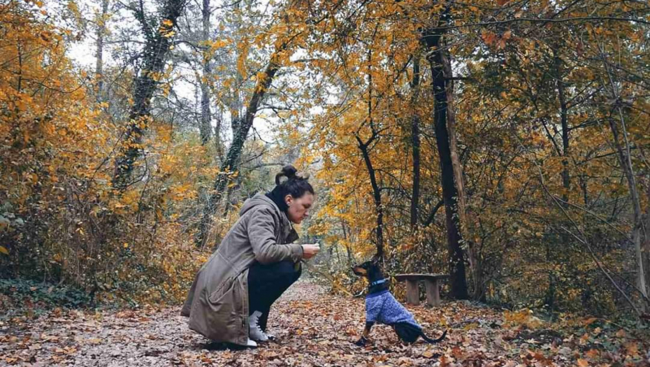 SKUPI KAKU ILI PLATI Vlasnici pasa sve nemarniji, komunalci sve zaposleniji