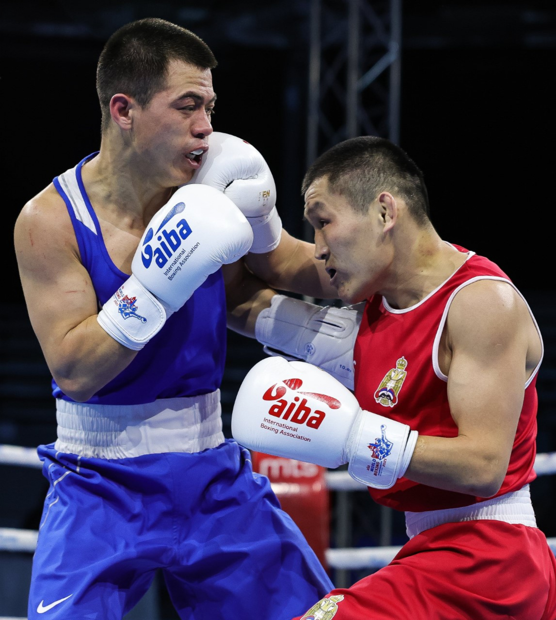 бурятские боксеры