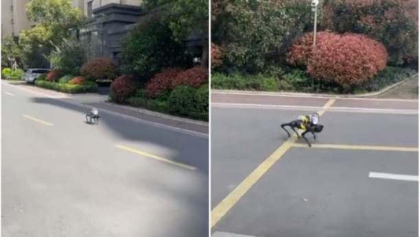 NADREALNE SCENE U ŠANGAJU Psi roboti idu ulicom i podsećaju građane na epidemiološke mere (FOTO/VIDEO)