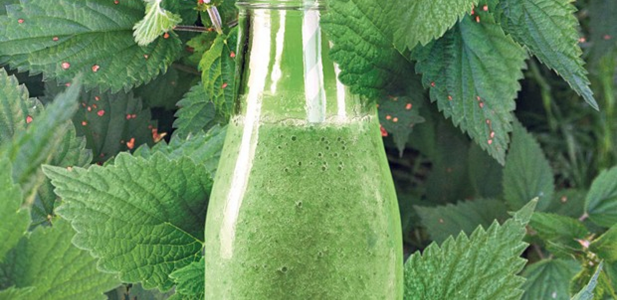 DOKAZANO NAJMOĆNIJI LEK IZ PRIRODE Ovaj čudotvorni napitak vekovima popravlja krvnu sliku, obnavlja pluća, jetru, žuč