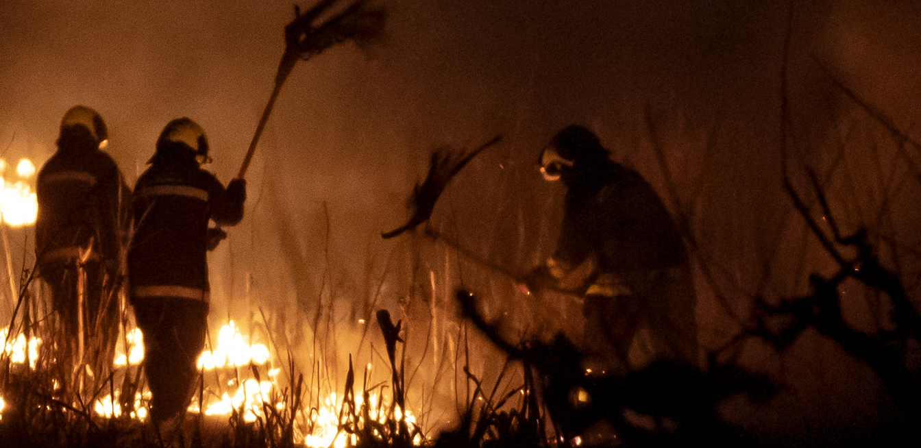 GORELO 13 ARI TRAVE U ZRENJANINU Vatrogasci sprečili katastrofu, izborili se sa vatrenom stihijom nadomak tržnog centra