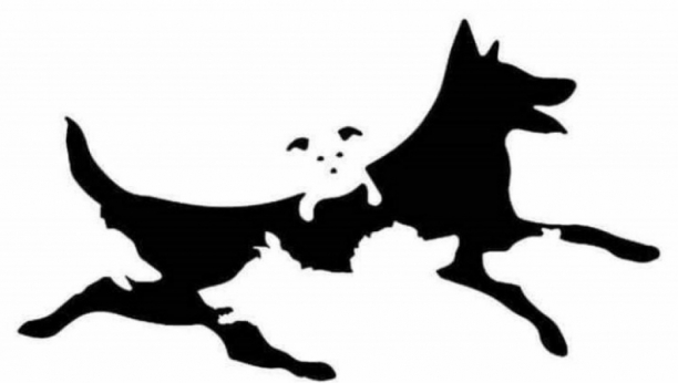 KOLIKO PASA VIDITE NA FOTOGRAFIJI: Ovaj test otkriva mnogo o vama, naročito koliko ste mentalno stari