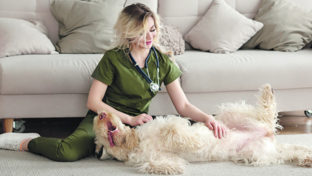 ŠTA MISLITE Zašto kuce lupkaju nogom dok ih češkate