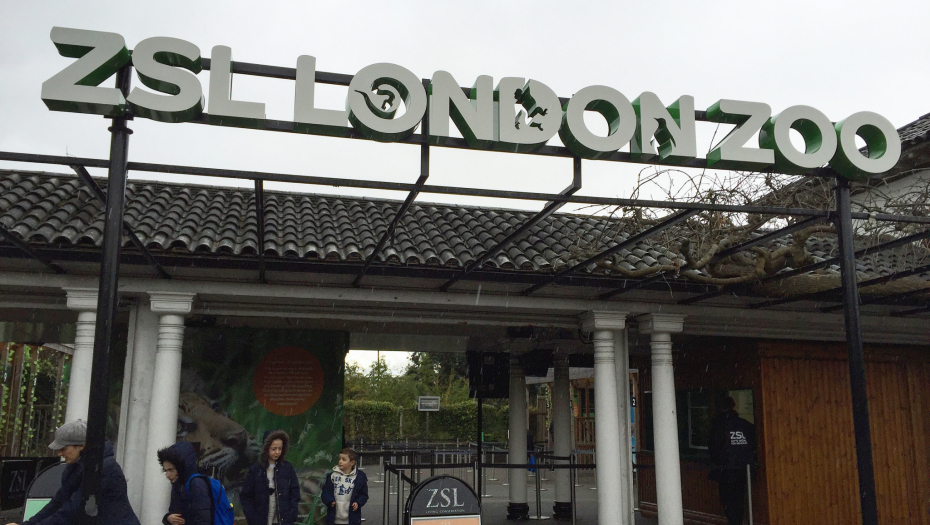 VIC DANA U londonskom zoološkom vrtu stoji mladić...