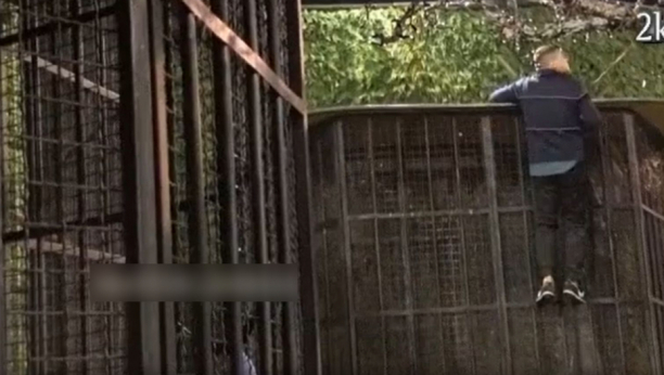 BEBICA PRESKOČIO OGRADU Nenad Macanović pokušao da pobegne, isplivao snimak, a sve to je zbog drame sa Miljanom