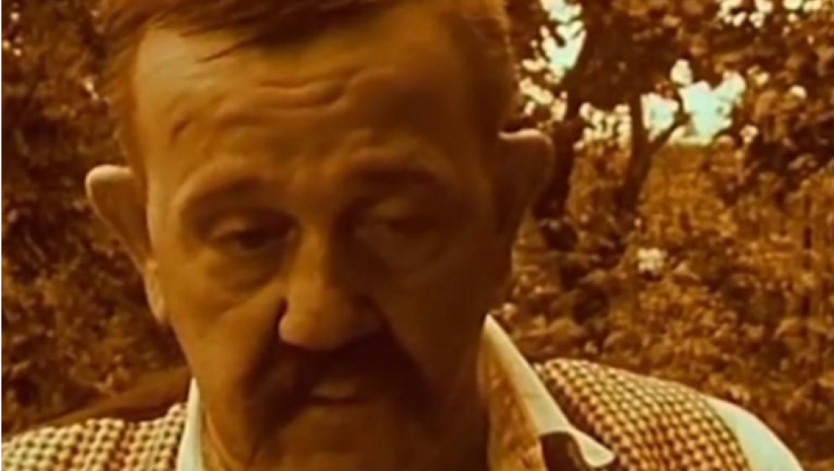 SVI SU MISLILI DA GLEDAJU PAVLA VUISIĆA, ALI TO NIJE BIO ON Neverovatno liče, a evo o kome je reč (FOTO)