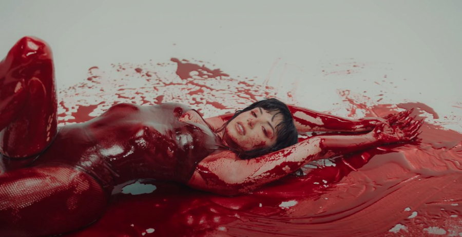 ISKORISTILA KOSTIME,  A NIJE JE NI SPOMENULA Dizajnerka brutalno isprozivala Saru Jo zbog novog spota