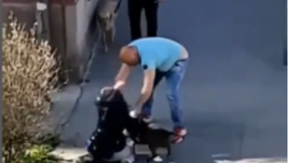 (UZNEMIRUJUĆI VIDEO) UŽASAN SNIMAK NASILJA POTRESAO SRBIJU! Muškarac krvnički šutira ženu i psa na ulici