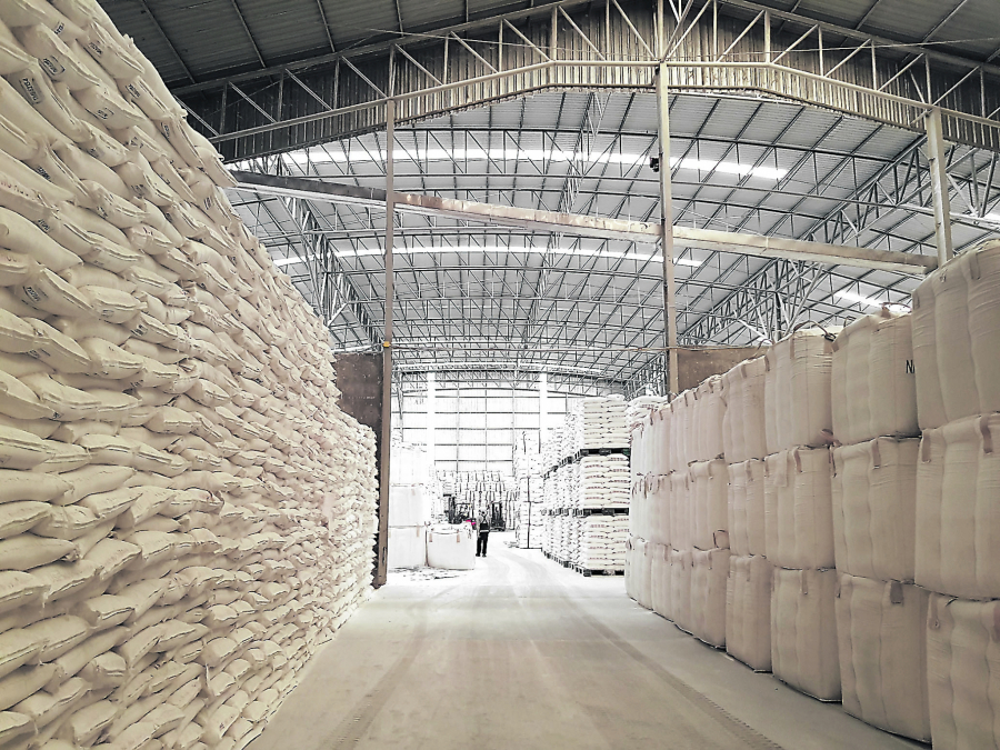 ALO SAZNAJE! Zbog prevare nekoliko pojedinaca patiće i država i poljoprivrednici: Žitnoj mafiji je pomogla loša kontrola