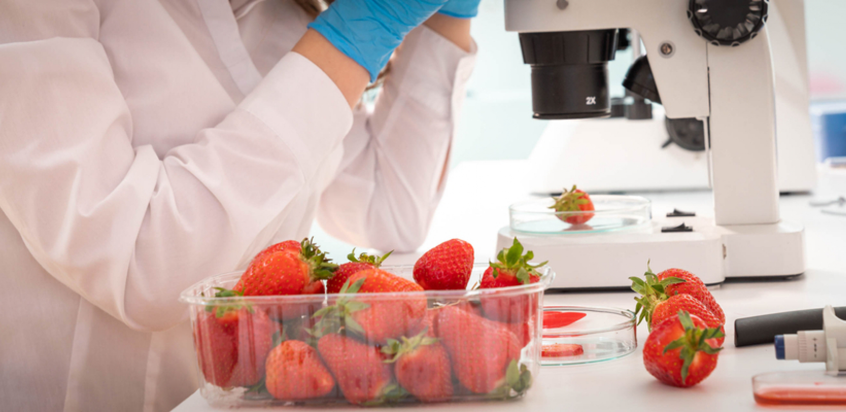 ALBANSKE JAGODE PUNE PESTICIDA: Zabranjen uvoz dve pošiljke u Srpsku