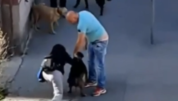 NASILNIKU IZ ZEMUNA PRITVOR DO 30 DANA Pretukao ženu i psa na ulici (VIDEO)