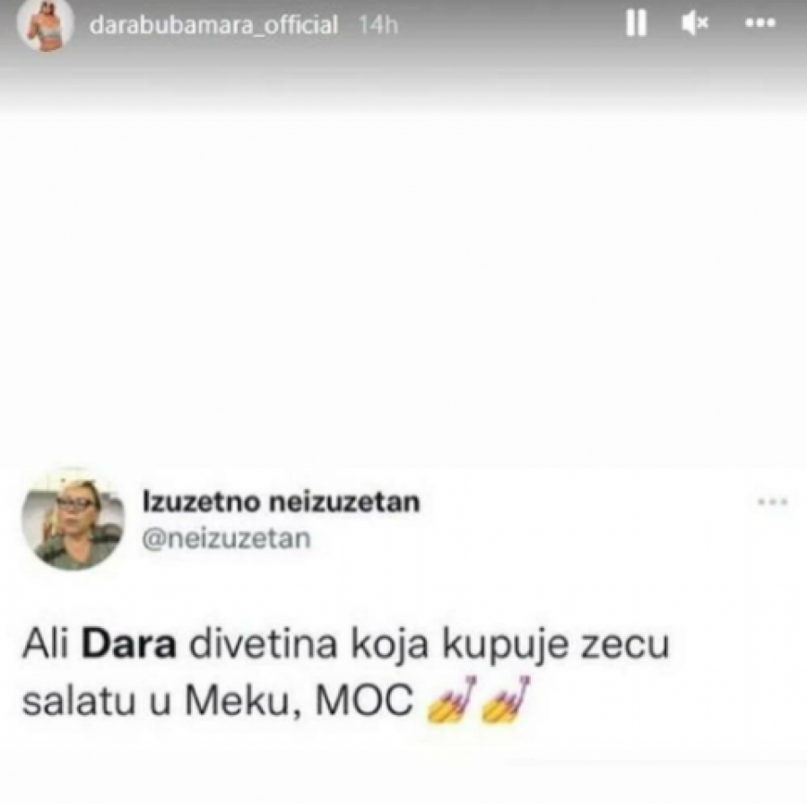 SAMO JOŠ KATASTAR NIJE KUPILA Dara Bubamara na udaru tviteraša zbog raskošnog života (FOTO)